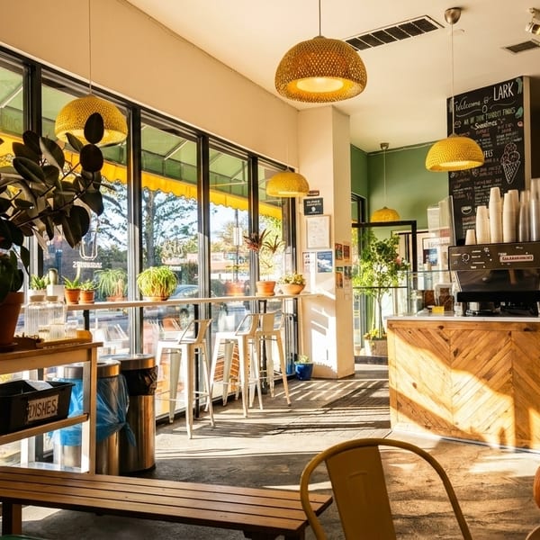 Sunny cafe interior with large windows, plants, wooden counter, and seating bathed in sunlight.