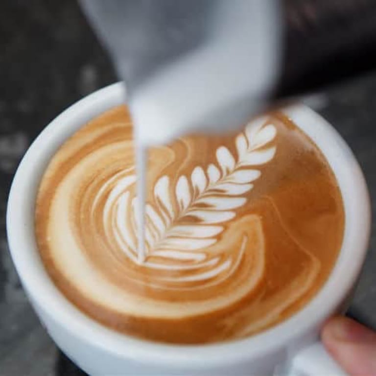 Delicious Latte Selections